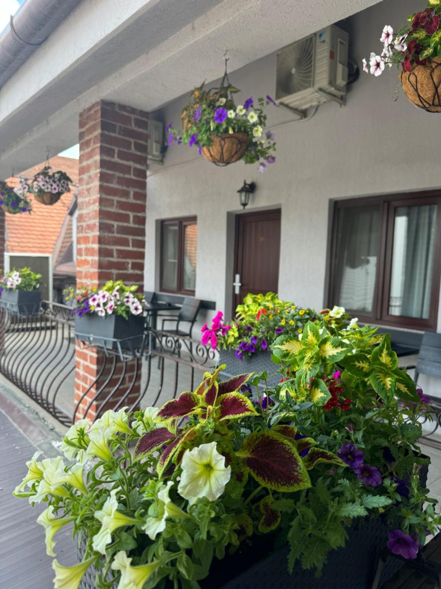 Hotel Casa Mignon Oradea Zewnętrze zdjęcie
