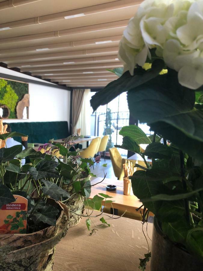 Hotel Casa Mignon Oradea Zewnętrze zdjęcie